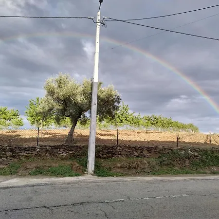 Alojamento de Turismo Rural Apolinário Castro Vicente