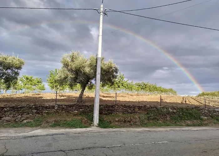 Alojamento de Turismo Rural Apolinário Castro Vicente